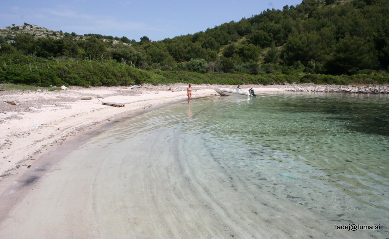 Photo of Lojisce beach with bright sand surface