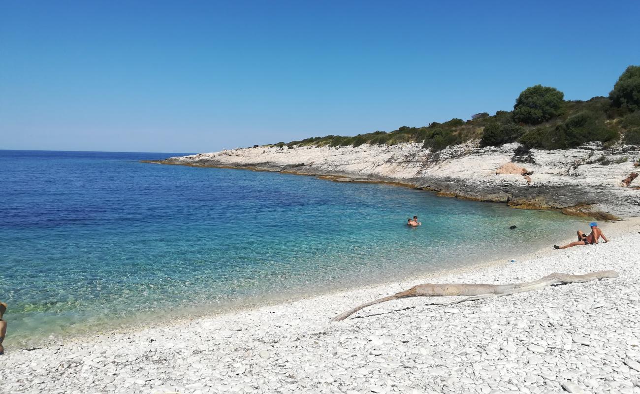 Photo of Prasna beach with white pebble surface