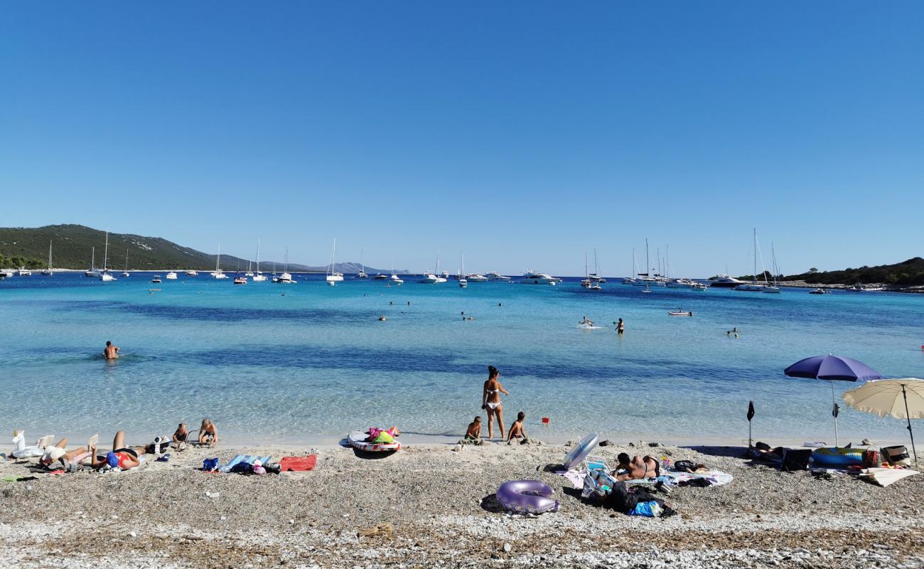 Photo of Sakarun beach with light pebble surface