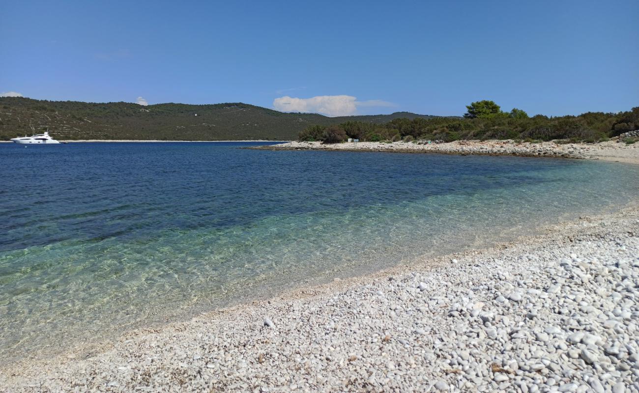 Photo of Lopata beach with white pebble surface