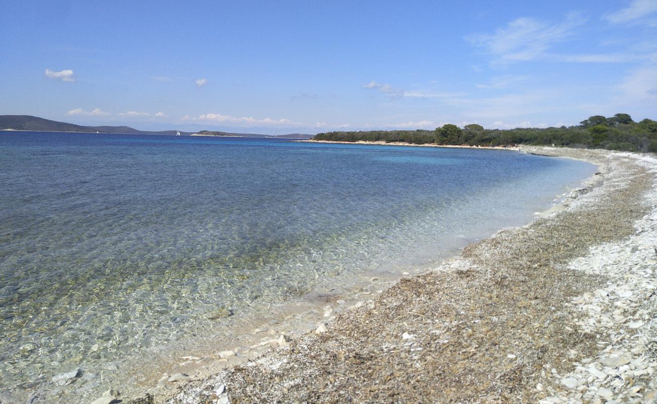 Photo of Natural Bridge beach with light pebble surface