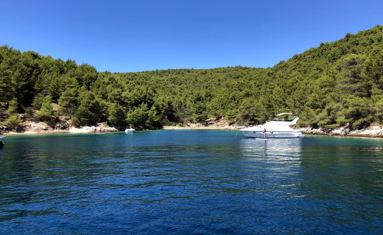 Photo of Zlarin beach with light pebble surface