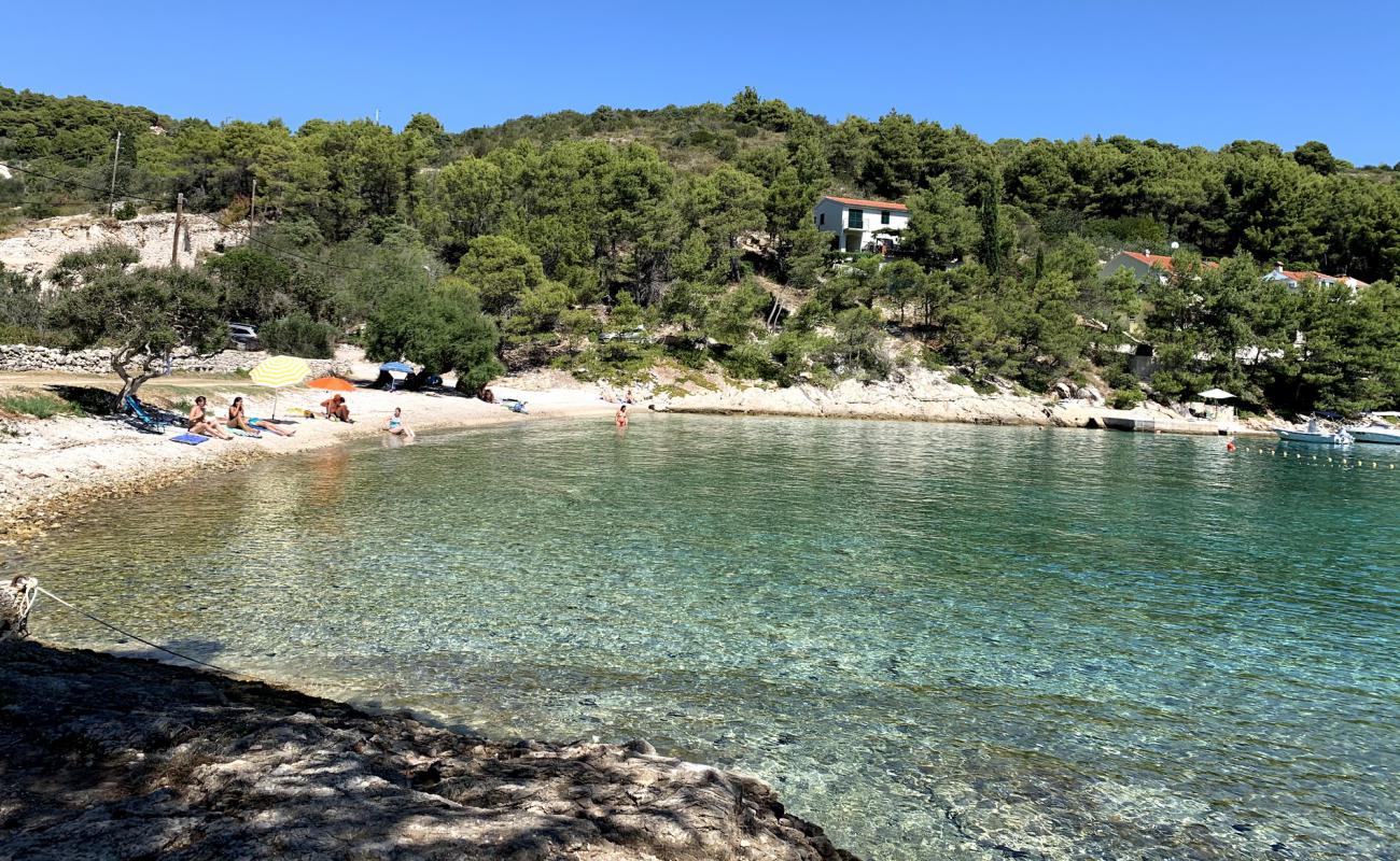 Photo of Gornja Krusica beach with light pebble surface