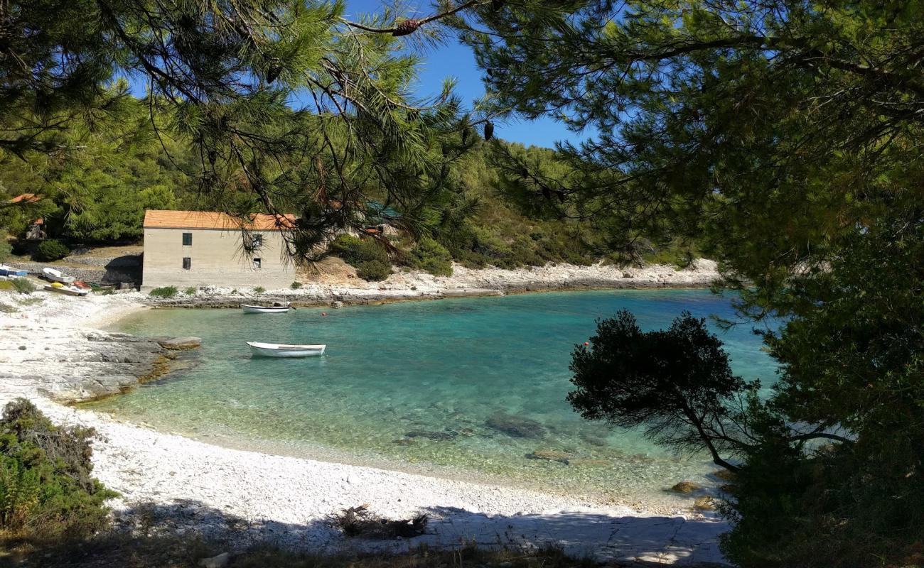 Photo of Vela Travna with white pebble surface