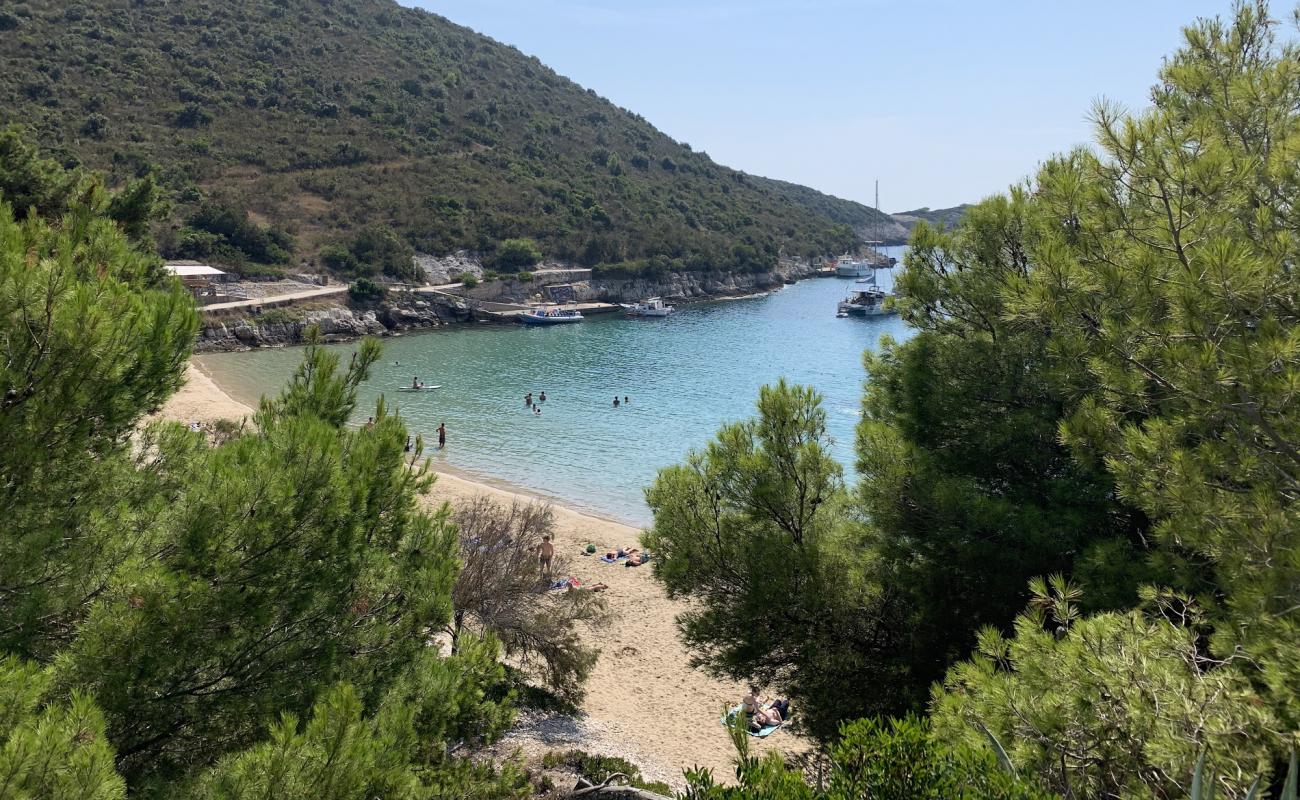 Photo of Porat beach II with brown sand surface