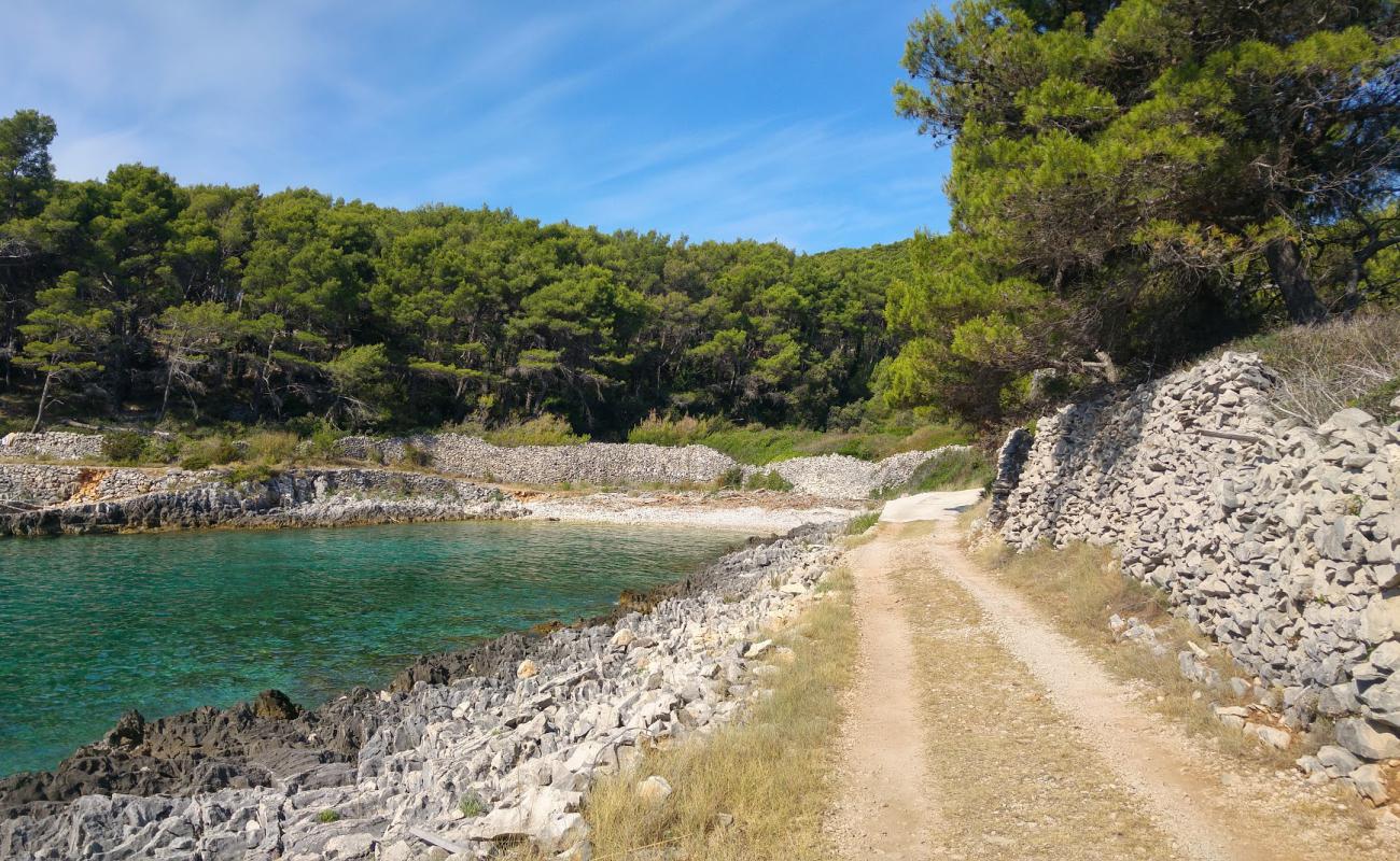 Photo of Puntica II beach with light pebble surface