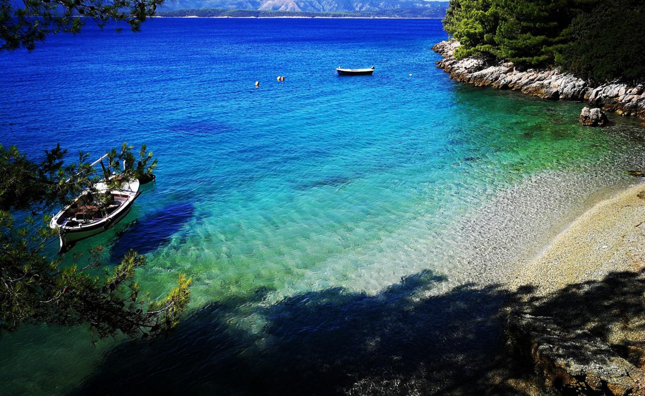 Photo of Draceva bay with light fine pebble surface