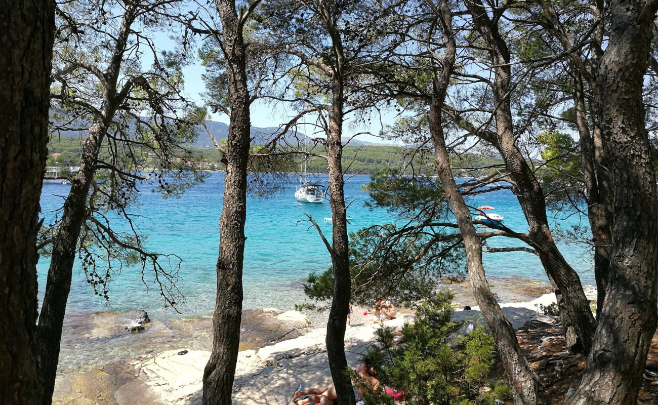 Photo of Paklena beach with rocks cover surface