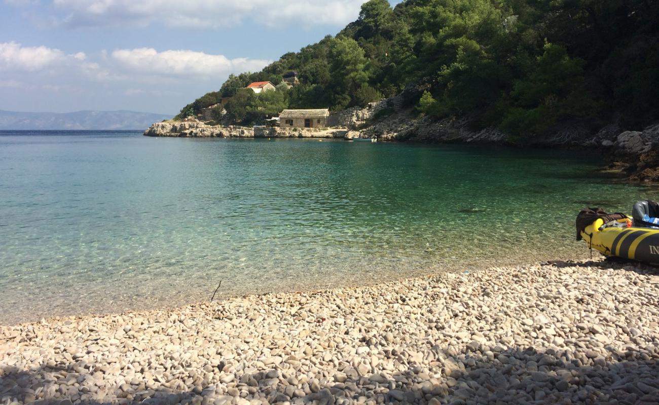 Photo of Zecja beach with light pebble surface