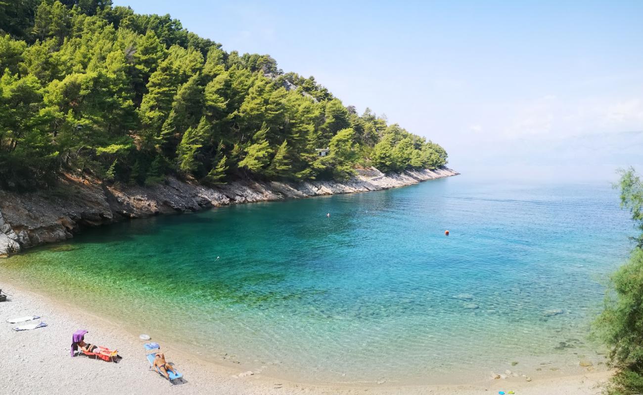 Photo of Mala Pogorila beach with light pebble surface