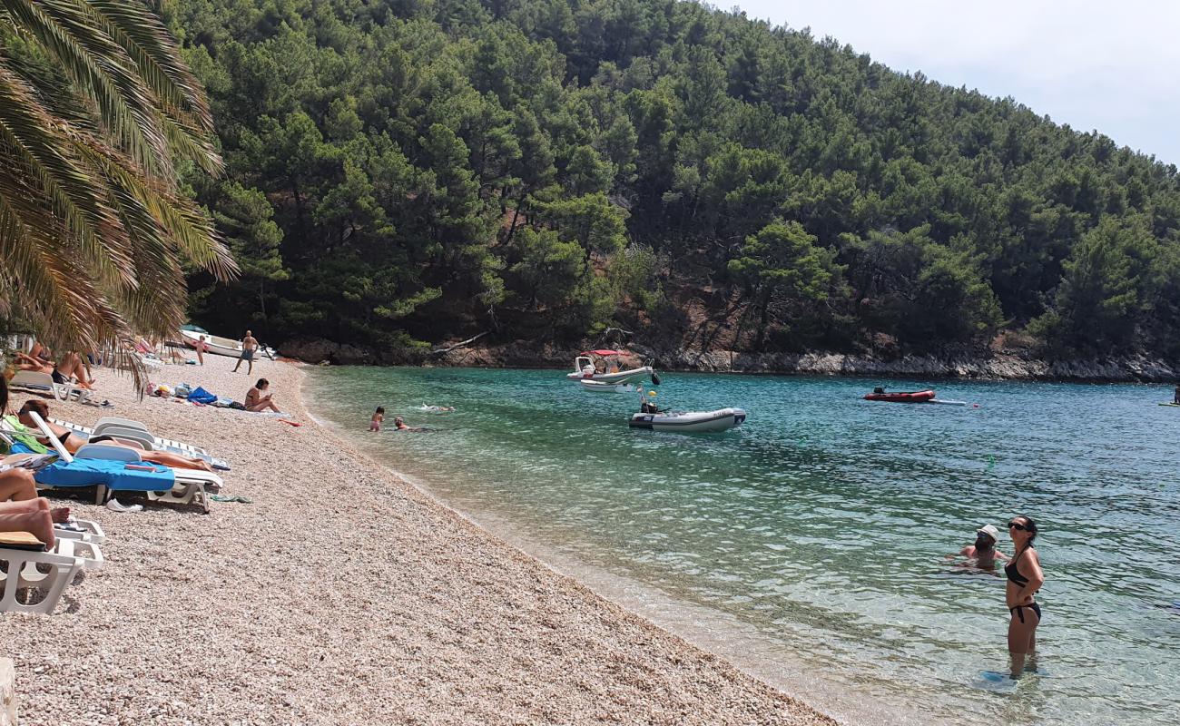 Photo of Smokvina beach with light pebble surface