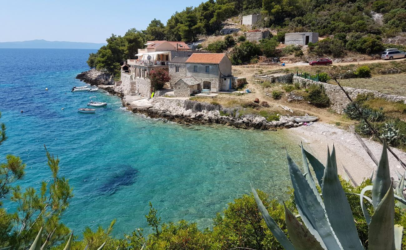 Photo of Jure Medvidina beach with light pebble surface