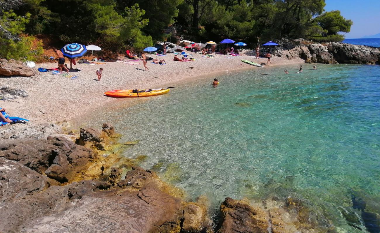 Photo of Bile beach with light fine pebble surface