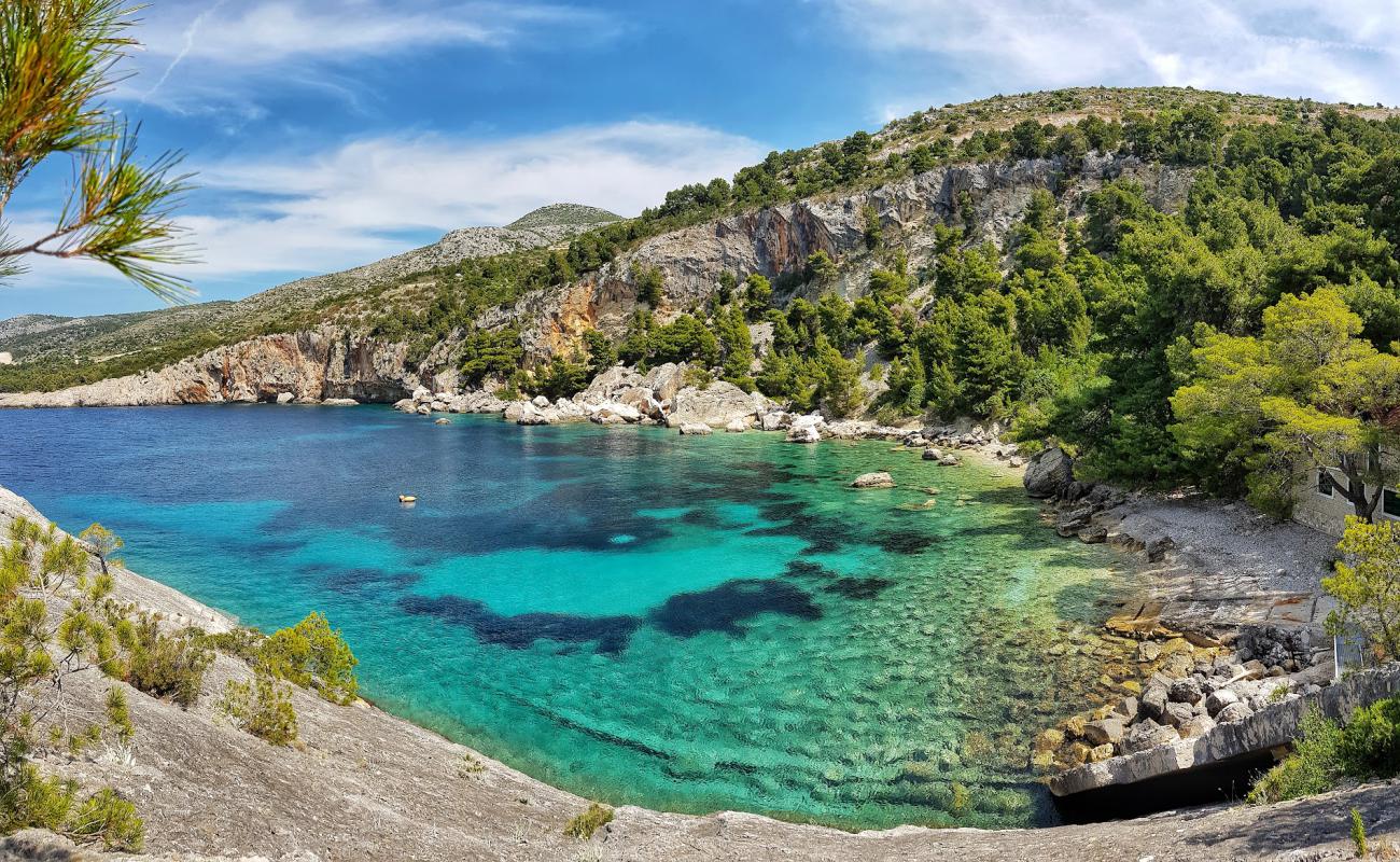 Photo of Malo Zarace beach with light pebble surface