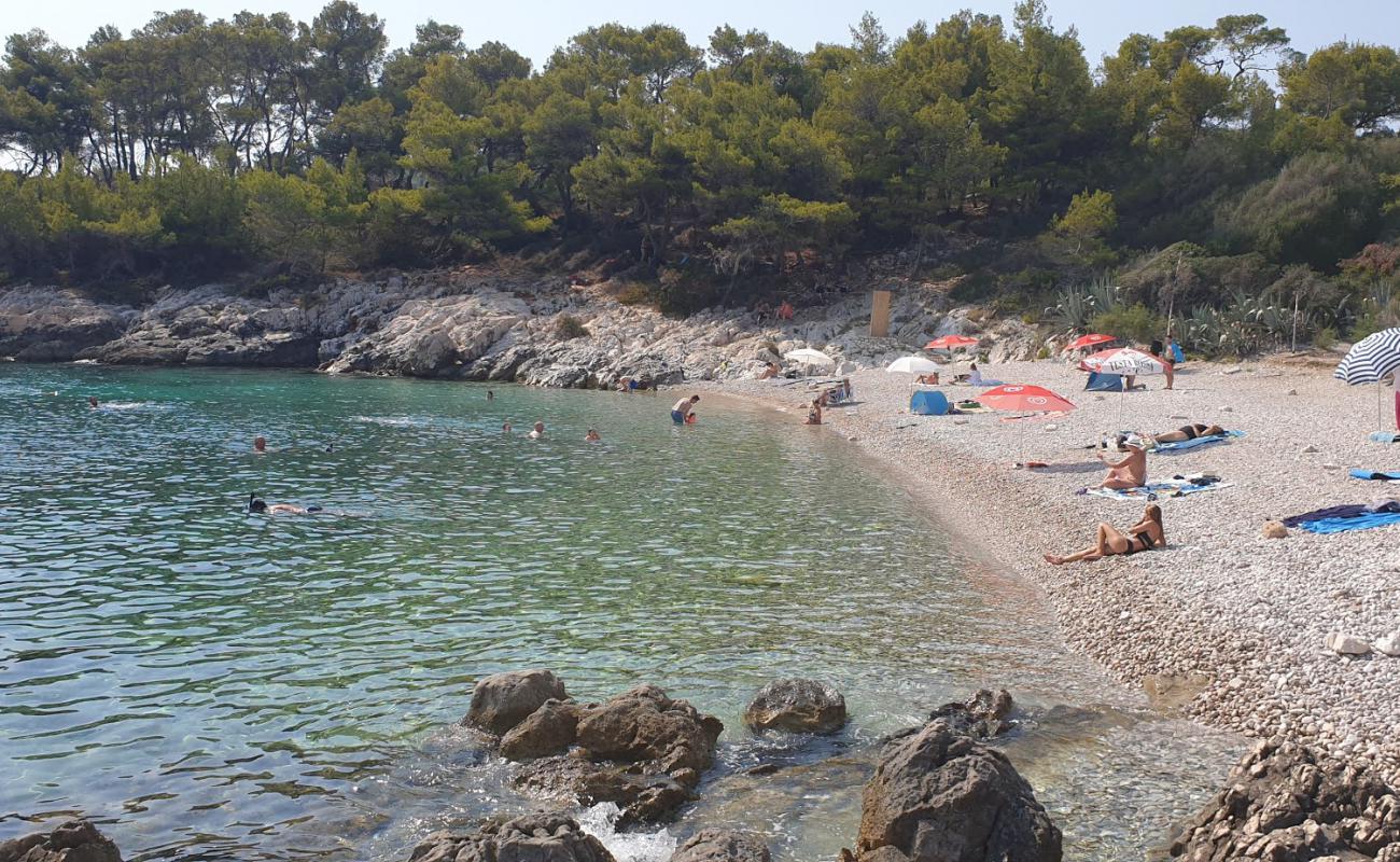 Photo of Notos Hvar beach with light fine pebble surface