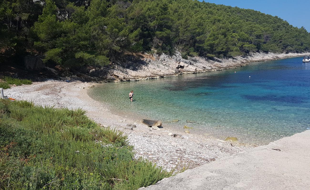 Photo of Sviracina beach with light pebble surface