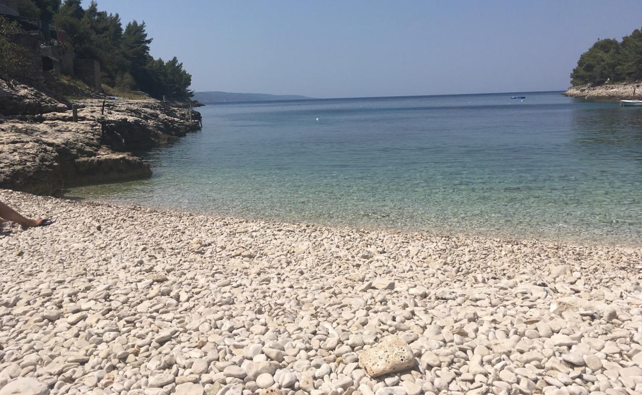 Photo of Rasoha beach with light pebble surface