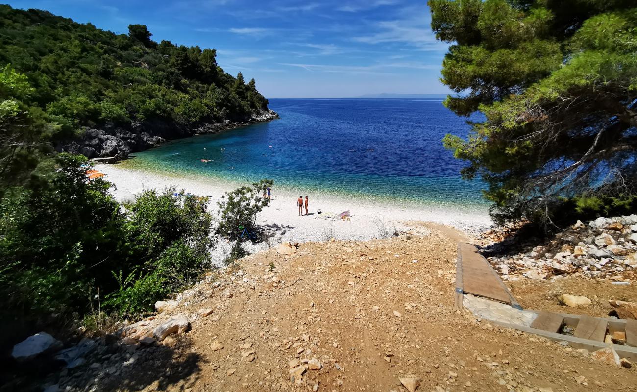 Photo of Vaja Bay with white pebble surface