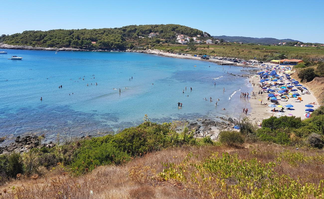 Photo of Vela Przina beach with bright sand surface