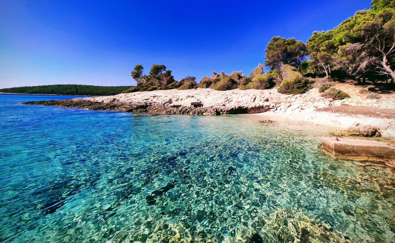 Photo of Nova beach with light pebble surface