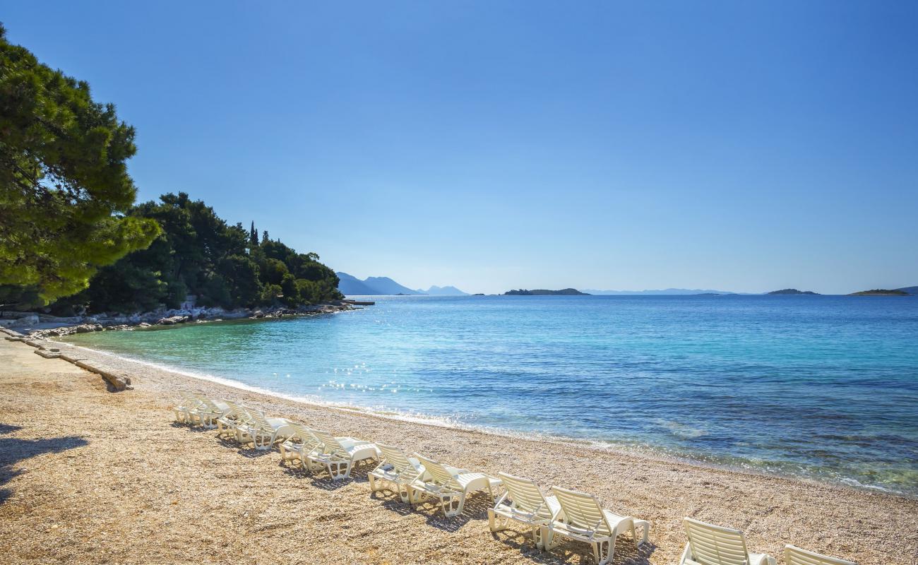 Photo of Bacva beach with light fine pebble surface