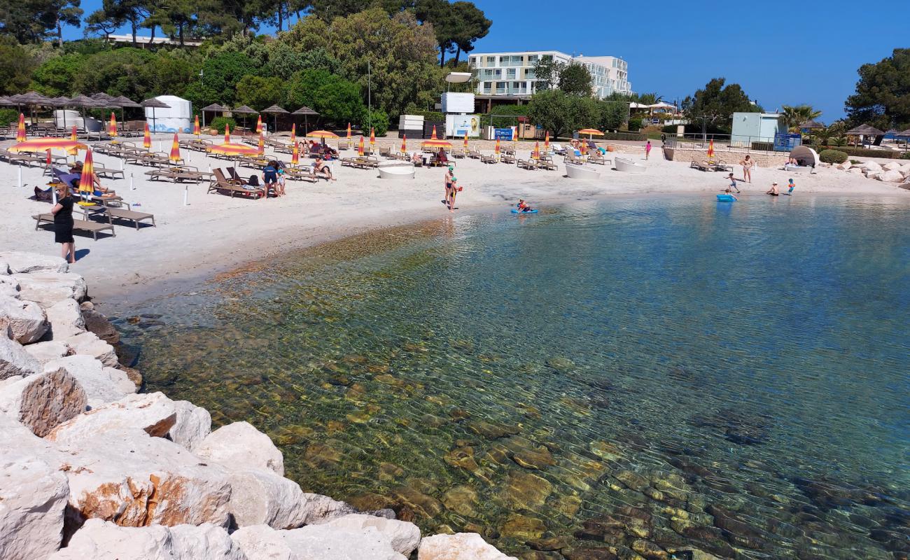 Photo of Maro Sandy Beach with gray fine pebble surface