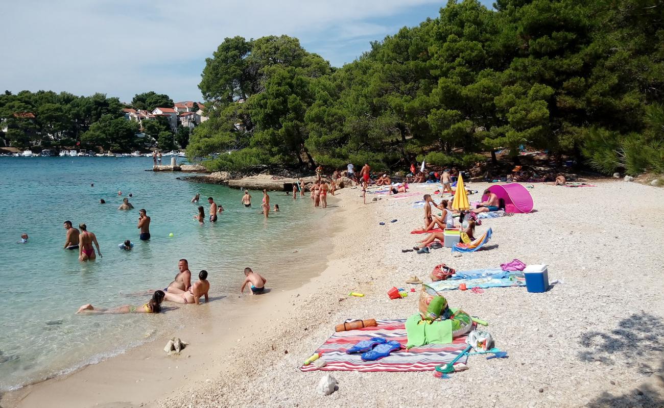 Photo of Beach Porat with rocks cover surface