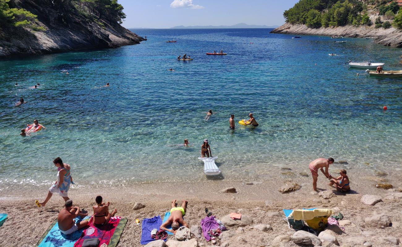 Photo of Bacva Beach with light fine pebble surface