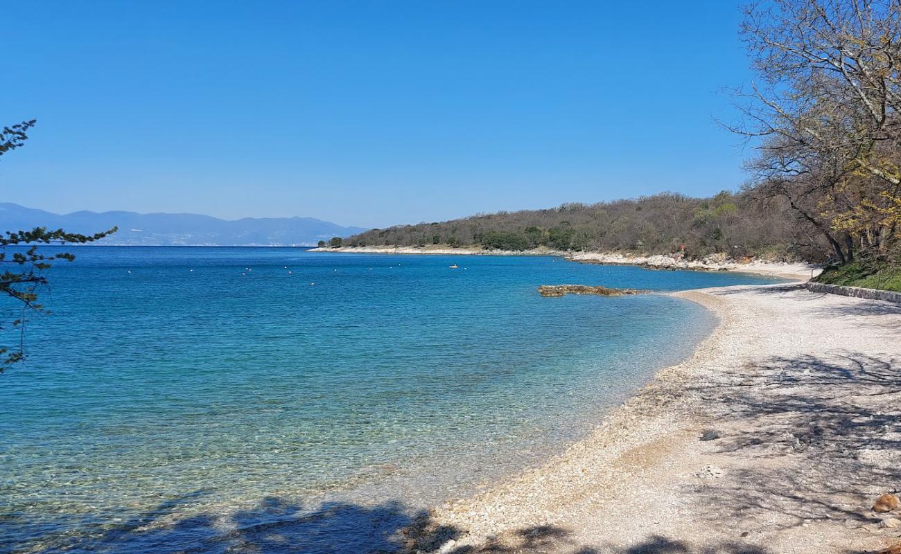 Photo of Dog Beach Atea Camping with gray pebble surface