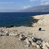 Dog Beach Jadra