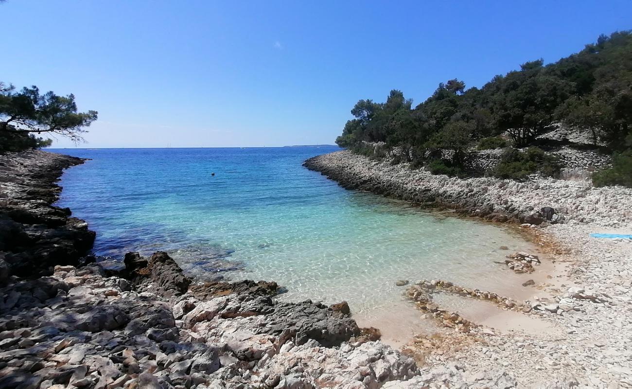 Photo of Cuanguski Zaljev with rocks cover surface