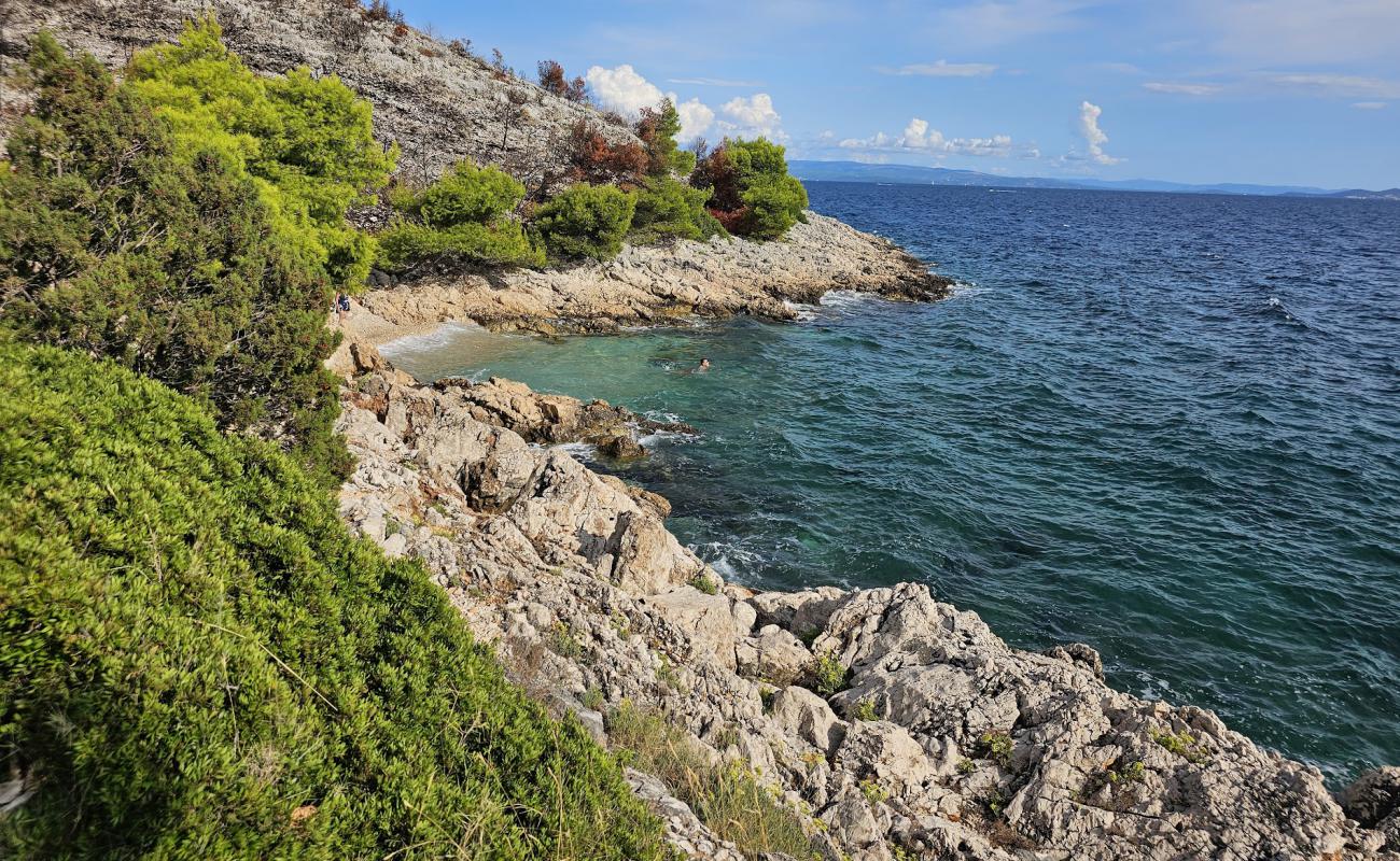 Photo of Mala Draga Beach with light pebble surface