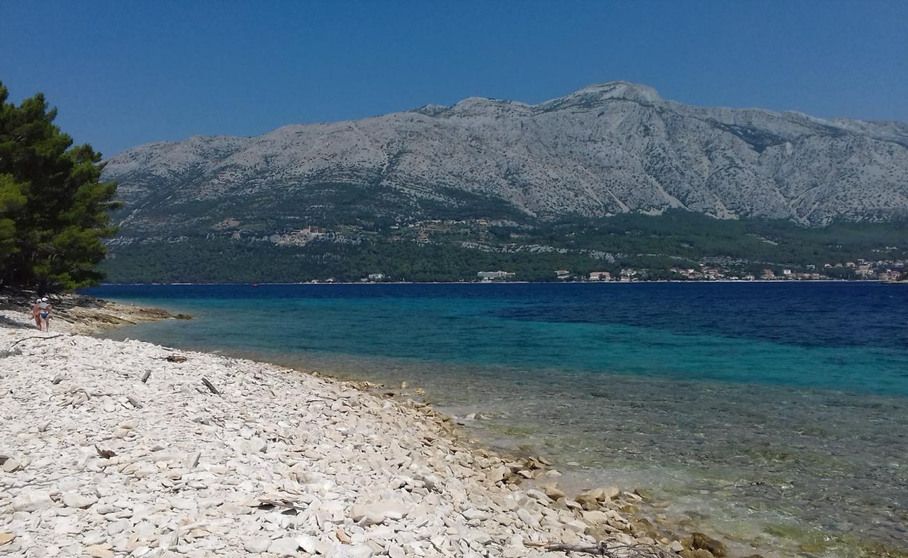 Photo of Badija Pebble Beach with rocks cover surface