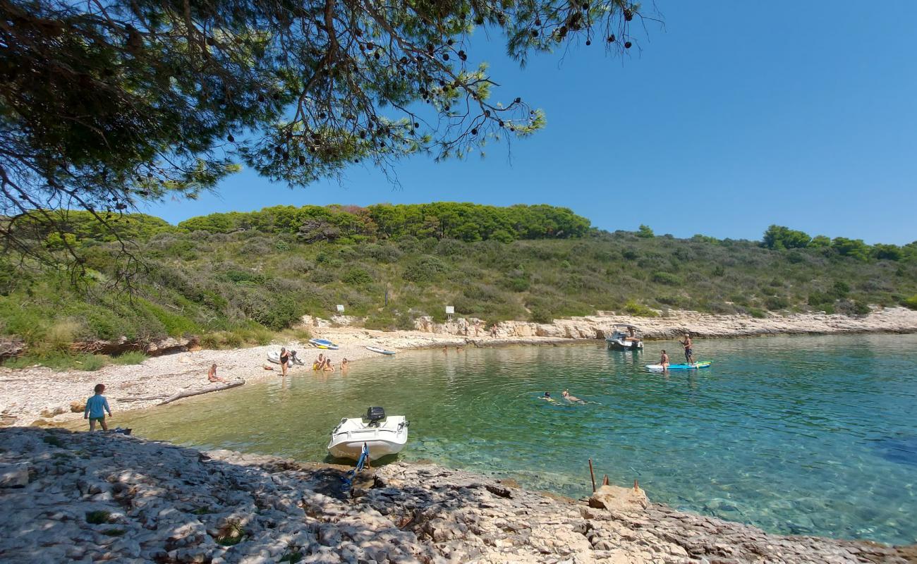 Photo of Tarsce Bay with light pebble surface