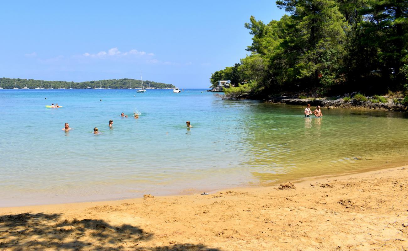 Photo of Sandy Beach, Vitarnja with bright sand surface