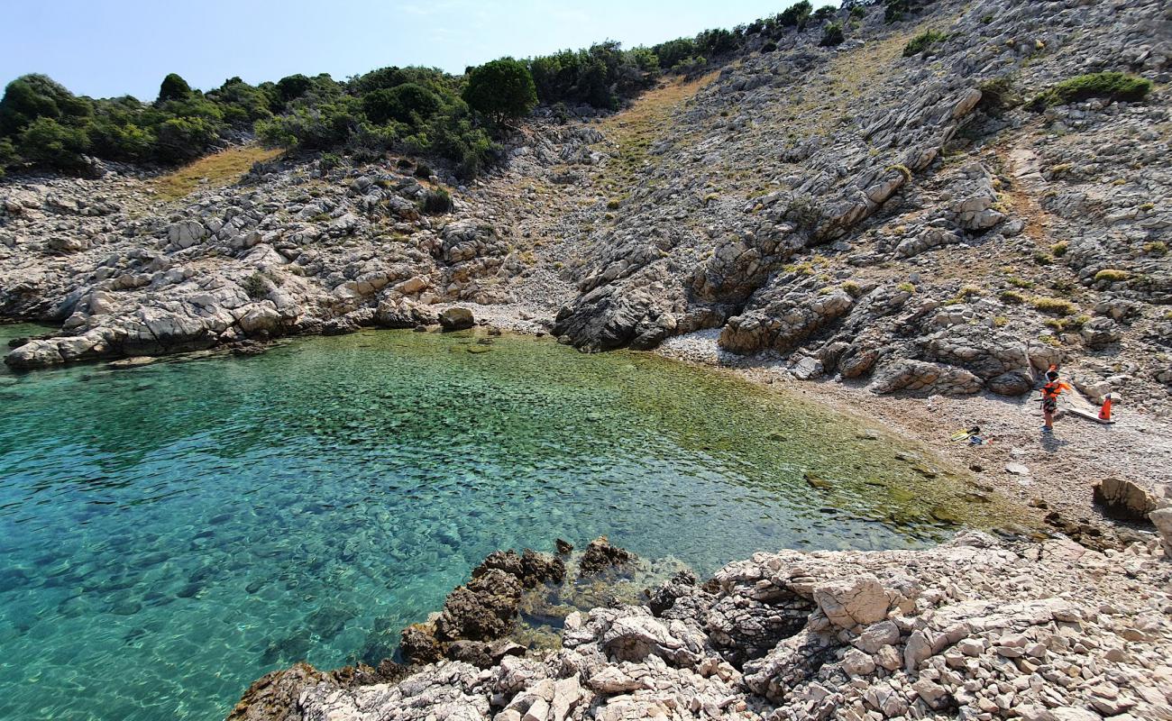 Photo of Vela Draga Beach with light pebble surface