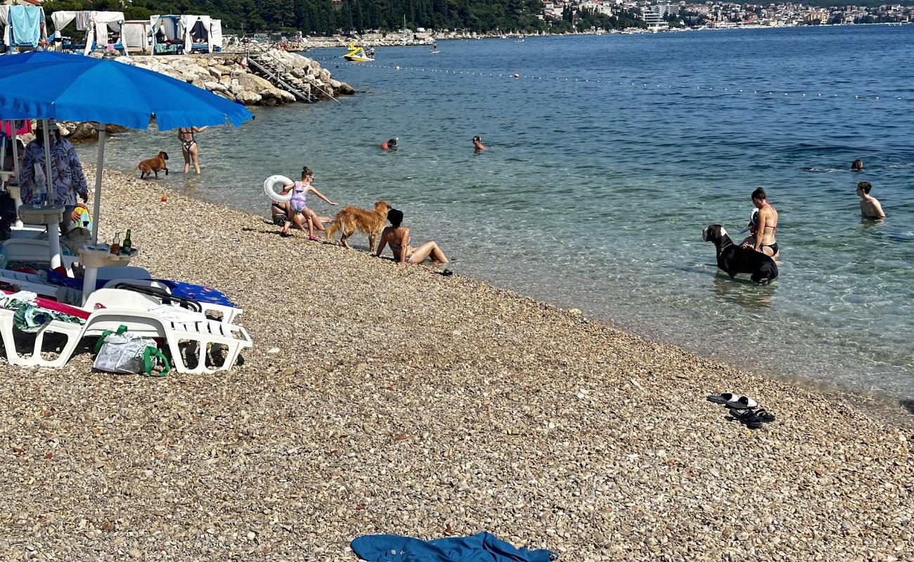 Photo of Monty's Dog Beach with gray fine pebble surface