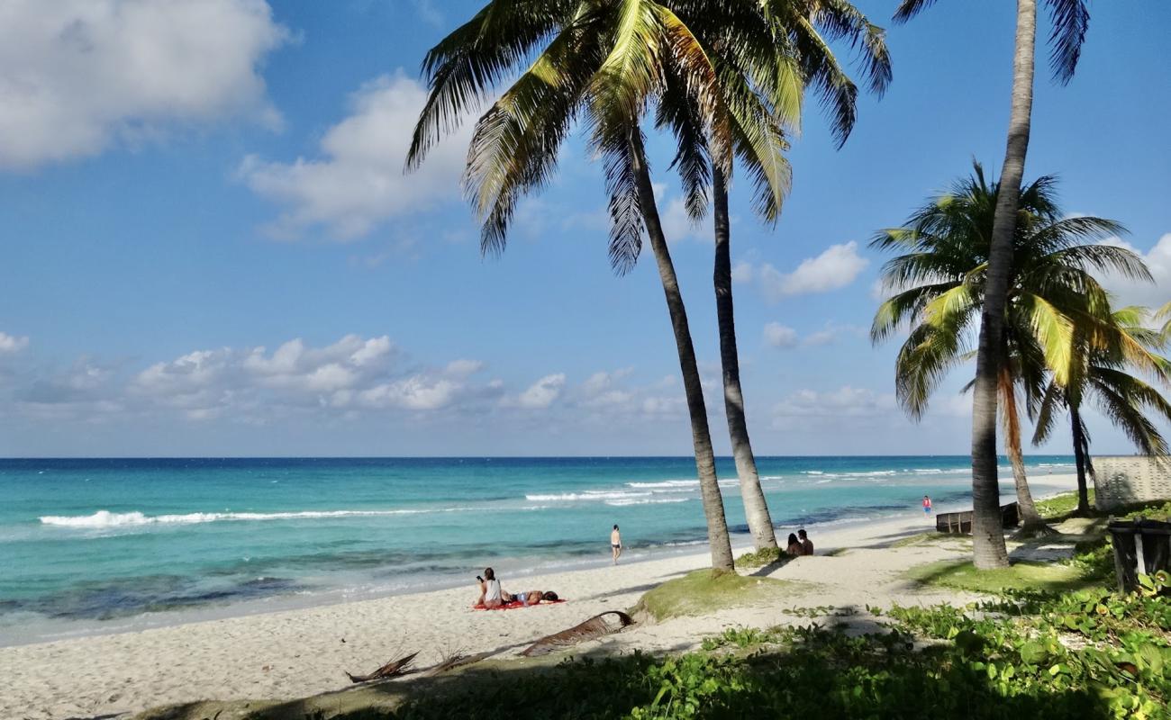 Photo of Varadero beach II with bright fine sand surface