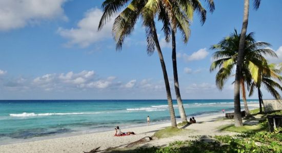 Varadero beach II