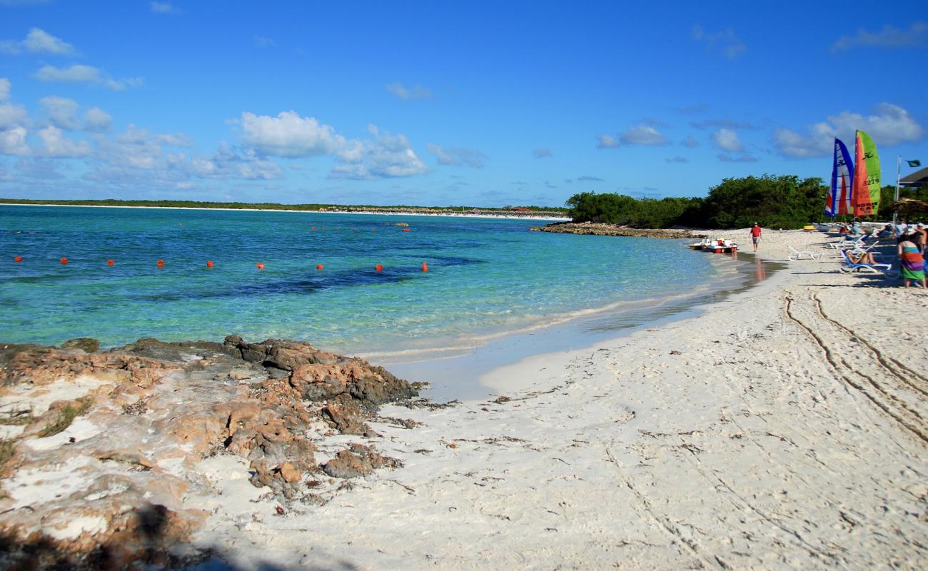 Photo of Megano Beach with bright fine sand surface