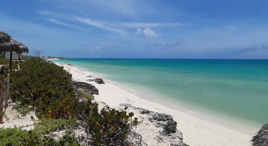 Cayo Santa Maria V beach