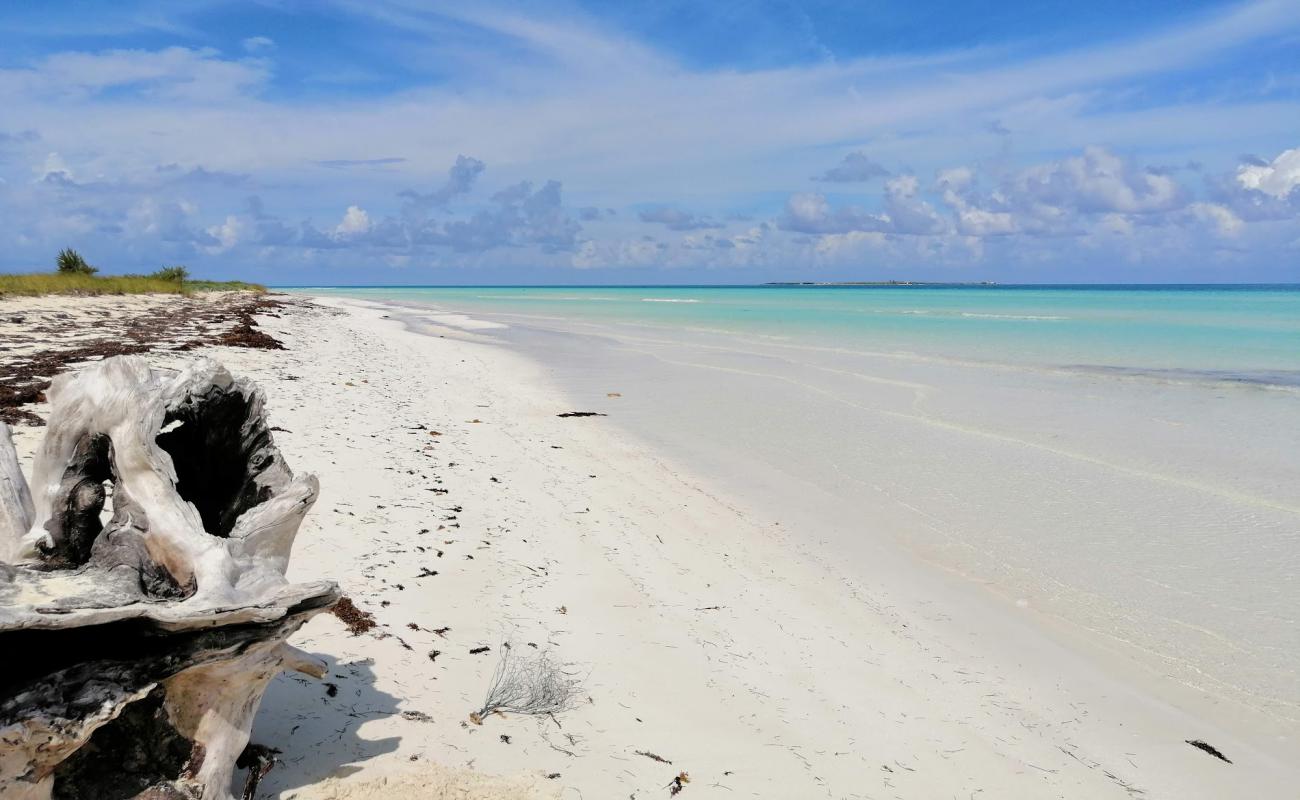 Photo of Playa Las Gaviotas with white fine sand surface