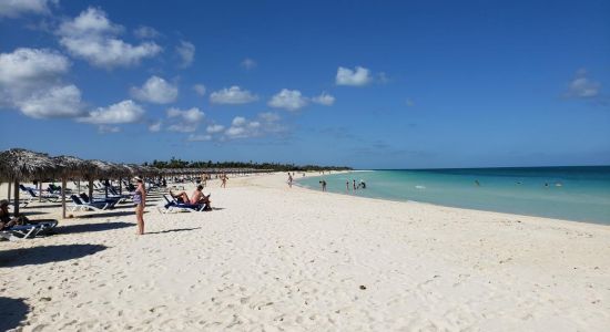 Flamenco Beach