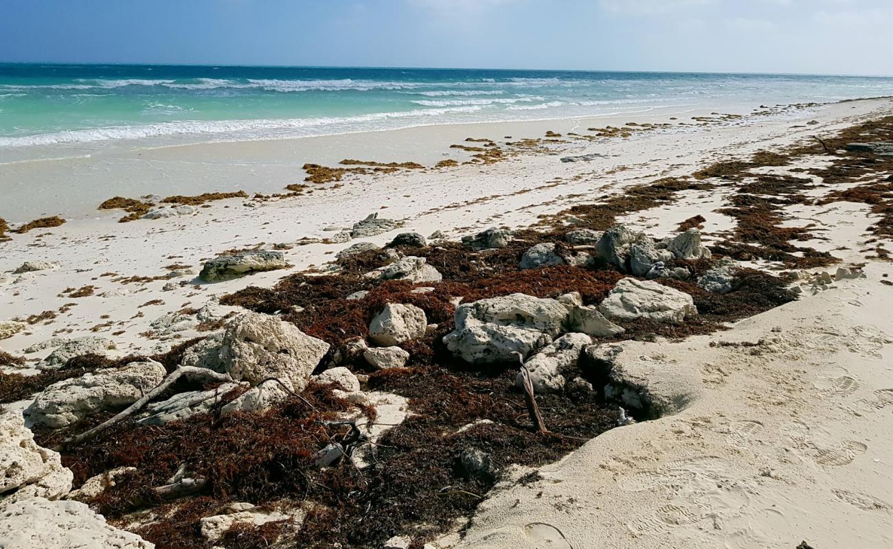 Photo of Playa Del Norte with white sand surface