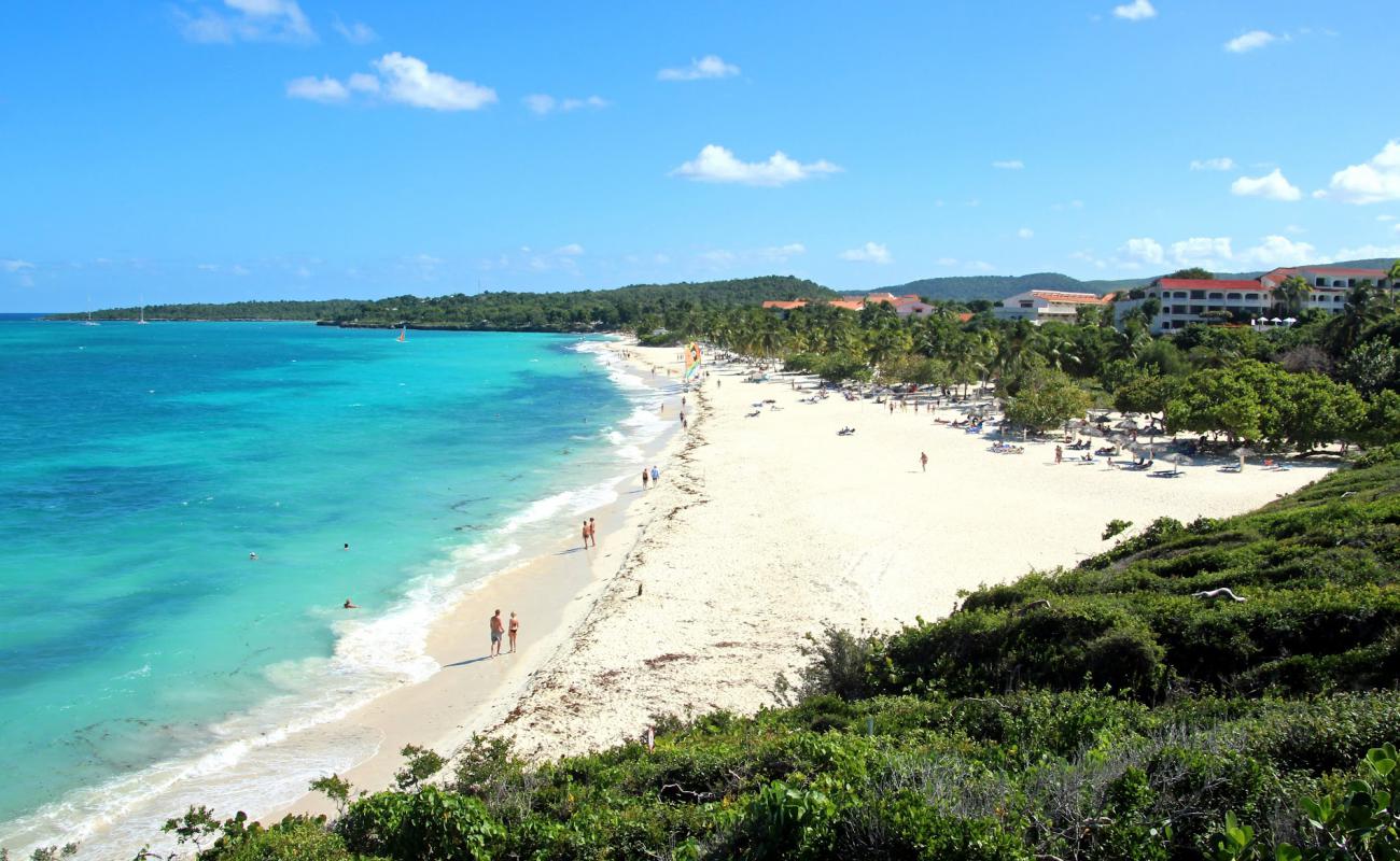 Photo of Emerald Beach with white fine sand surface