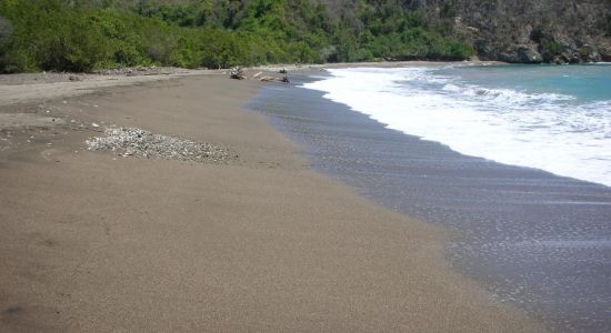 Playa Toro