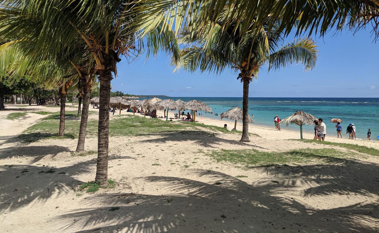 Photo of Playa Rancho Luna with bright sand surface