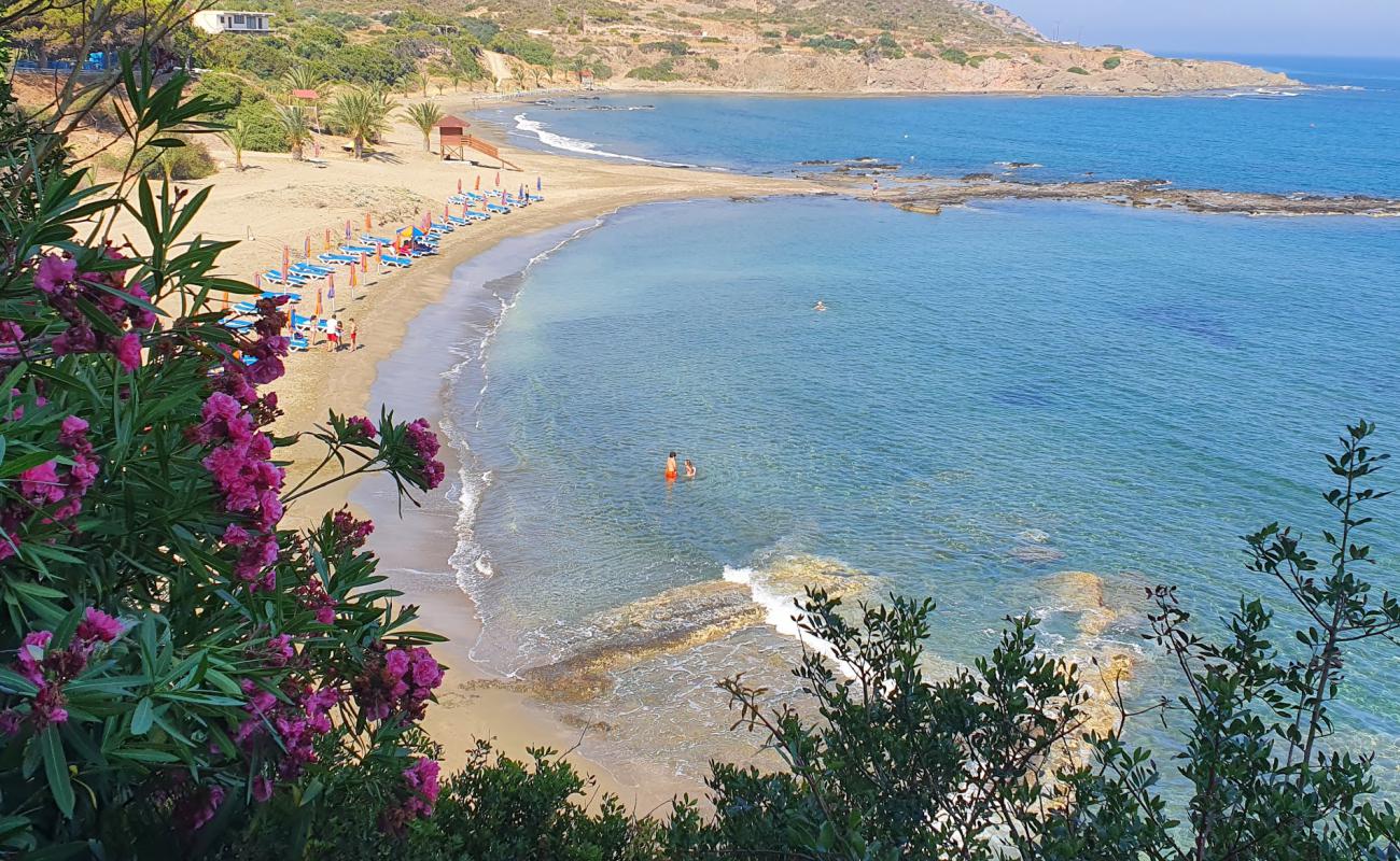 Photo of Omega beach with bright fine sand surface