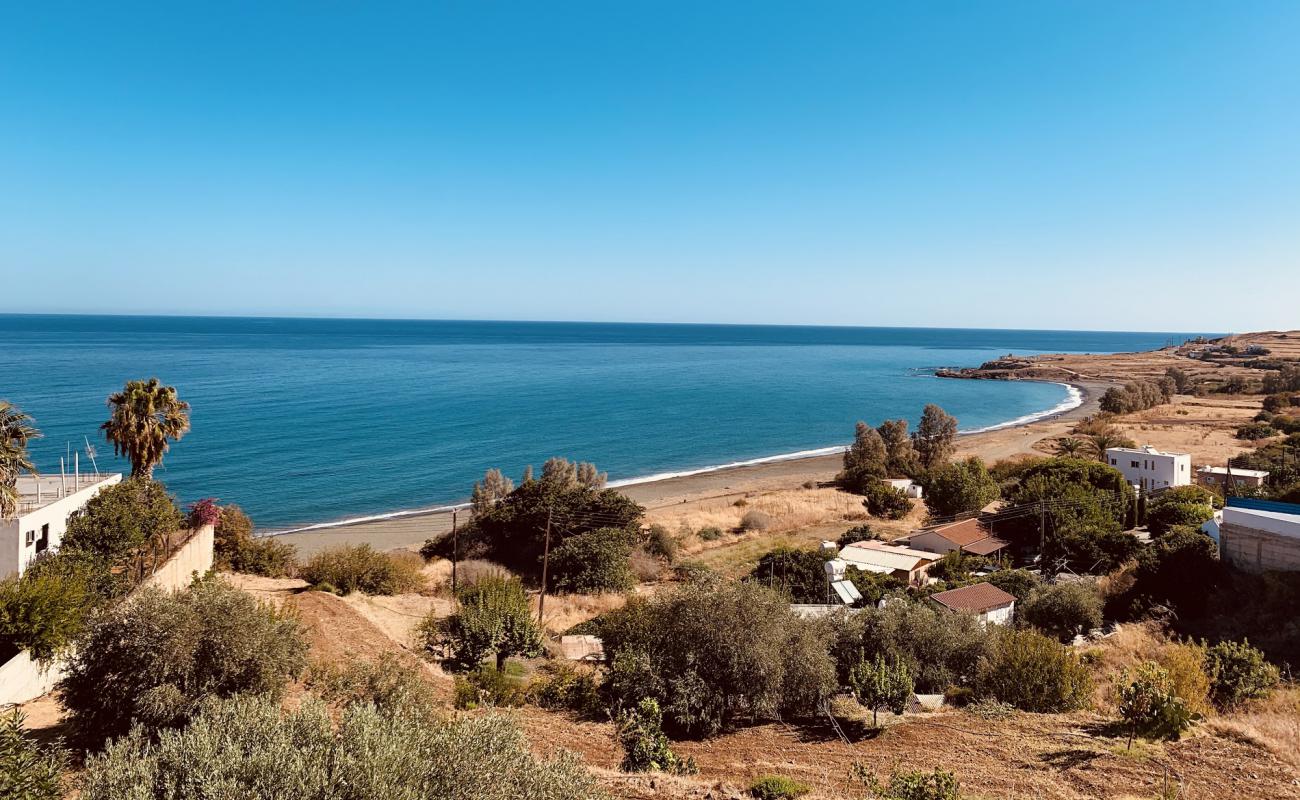 Photo of Pachiammos beach with gray sand surface