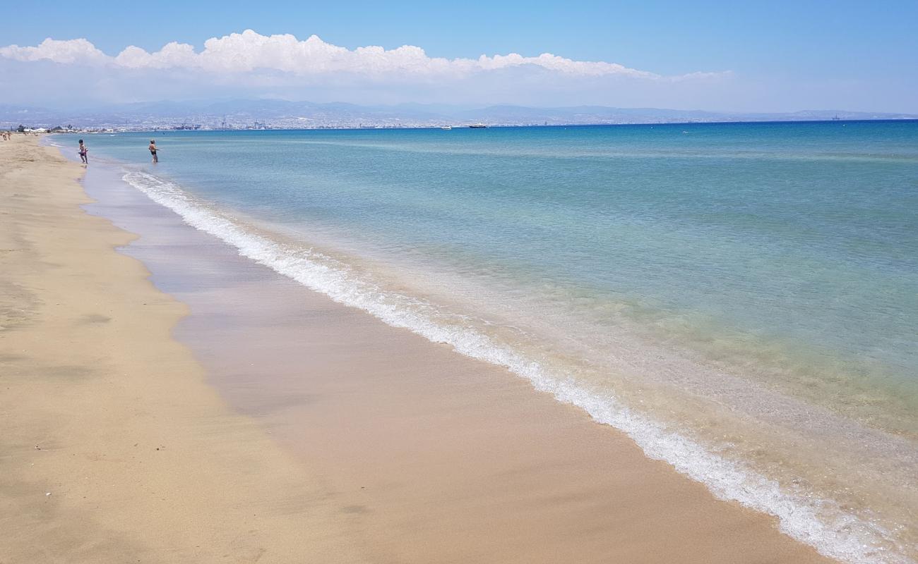 Photo of Lady's Mile beach with bright sand surface